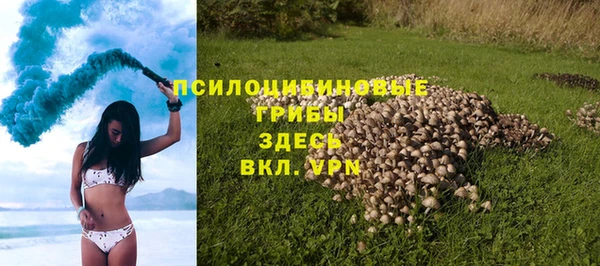 MDMA Premium VHQ Аркадак