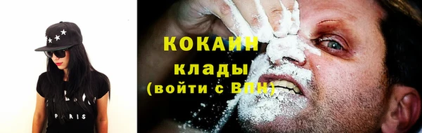 спайс Арсеньев