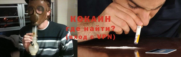 спайс Арсеньев