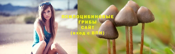 MDMA Premium VHQ Аркадак