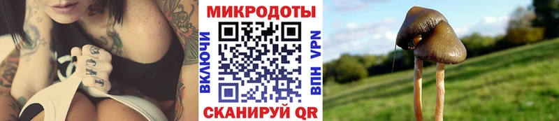 Галлюциногенные грибы Magic Shrooms  гидра зеркало  Баймак 